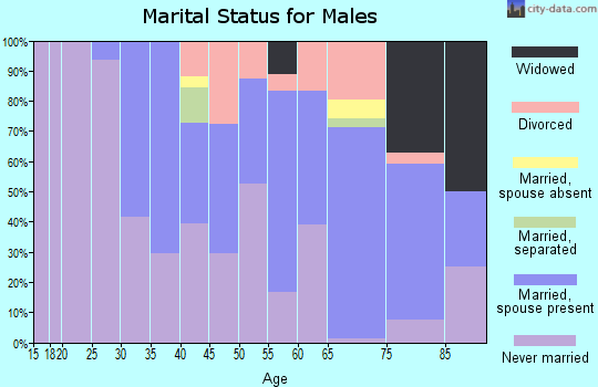 Zip code 87553 marital status for males