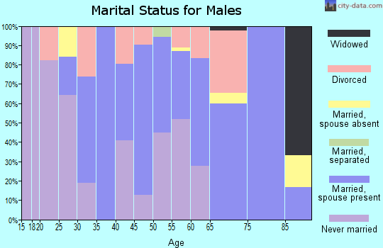 Zip code 87556 marital status for males