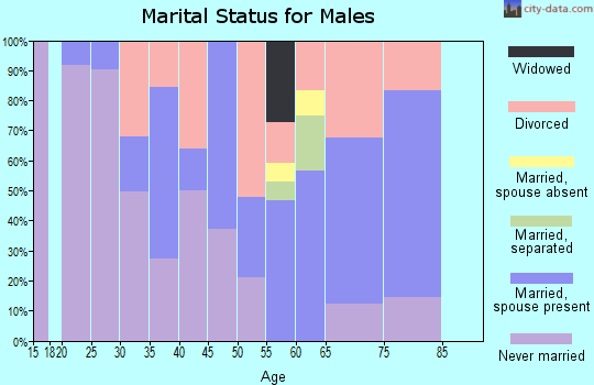Zip code 87557 marital status for males
