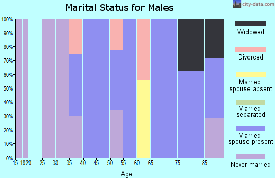 Zip code 87558 marital status for males