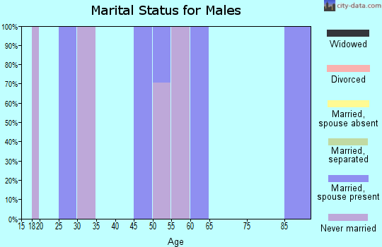 Zip code 87564 marital status for males