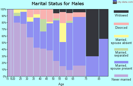 Zip code 87566 marital status for males
