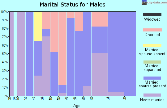 Zip code 87567 marital status for males