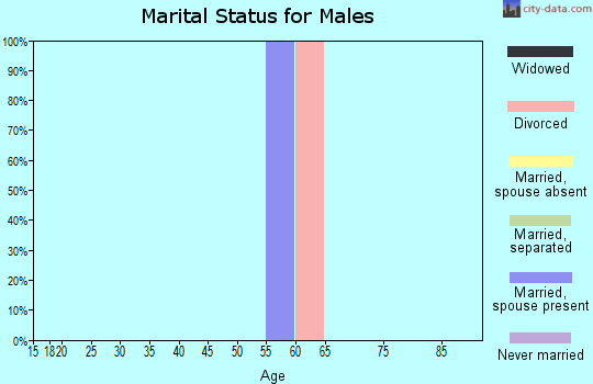 Zip code 87577 marital status for males