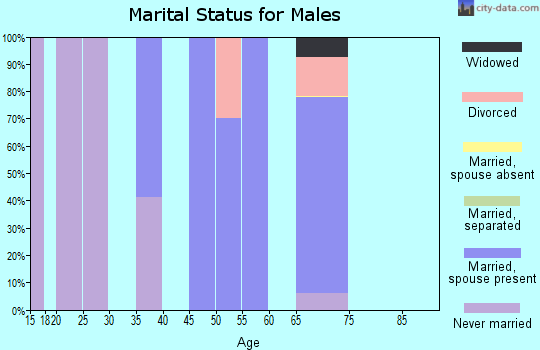 Zip code 87578 marital status for males