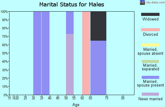 Zip code 87580 marital status for males