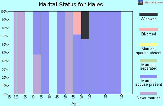 Zip code 87582 marital status for males