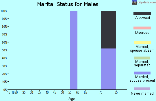 Zip code 87583 marital status for males