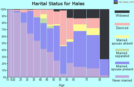 Zip code 87701 marital status for males