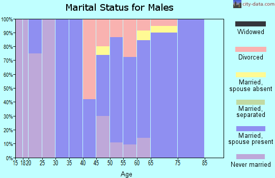 Zip code 87710 marital status for males