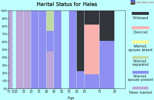 Zip code 87728 marital status for males