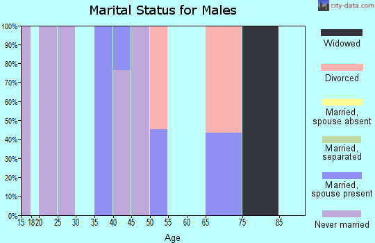 Zip code 87732 marital status for males
