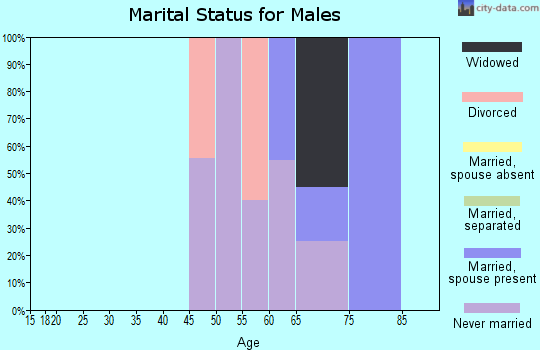 Zip code 87734 marital status for males