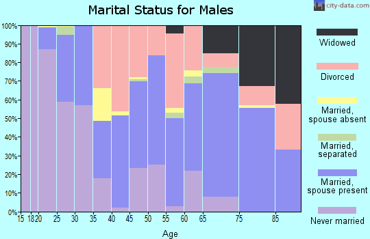 Zip code 87740 marital status for males