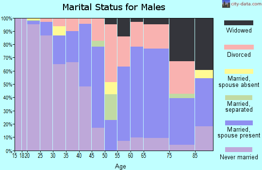 Zip code 87801 marital status for males