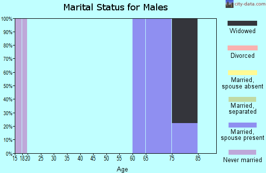 Zip code 87828 marital status for males