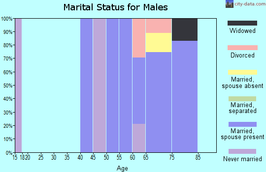 Zip code 87829 marital status for males