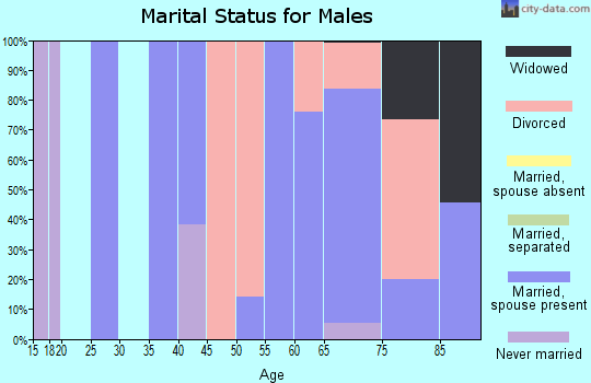 Zip code 87935 marital status for males