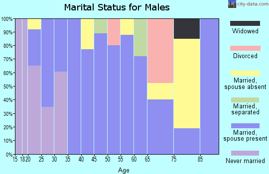 Zip code 87937 marital status for males