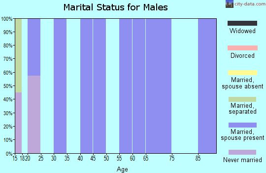 Zip code 87941 marital status for males