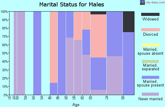 Zip code 87942 marital status for males