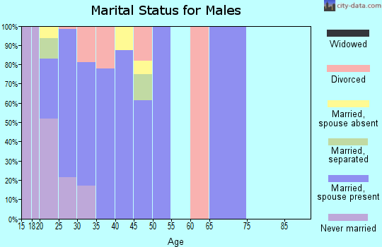 Zip code 88002 marital status for males