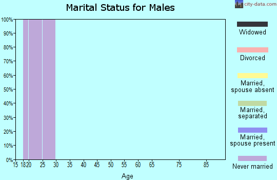 Zip code 88003 marital status for males