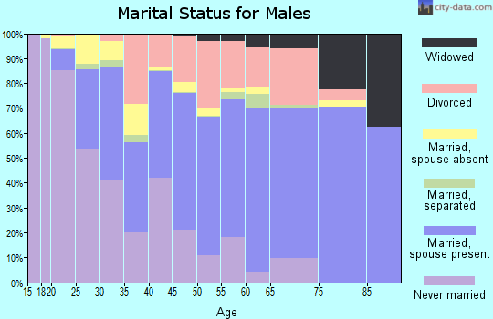 Zip code 88005 marital status for males