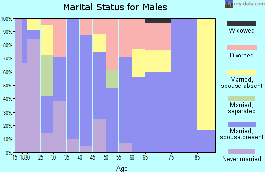 Zip code 88008 marital status for males