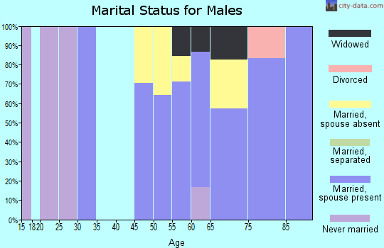 Zip code 88020 marital status for males