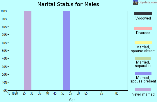 Zip code 88024 marital status for males
