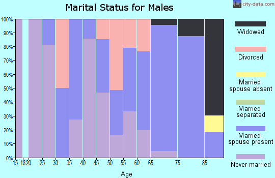 Zip code 88026 marital status for males