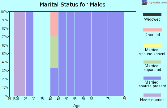Zip code 88027 marital status for males