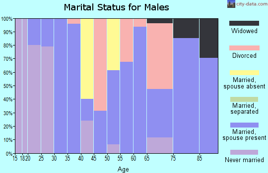 Zip code 88029 marital status for males