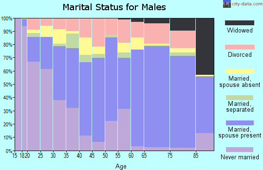 Zip code 88030 marital status for males