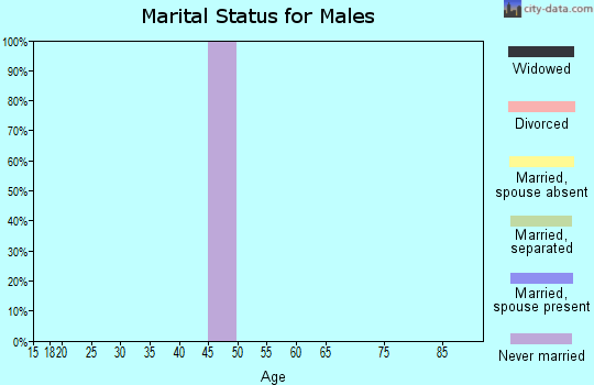 Zip code 88033 marital status for males