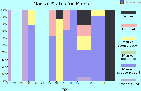 Zip code 88041 marital status for males