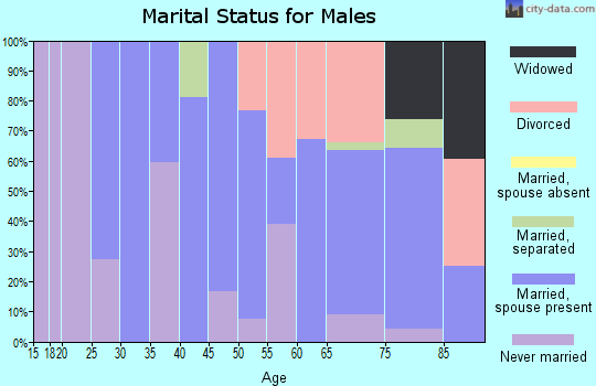 Zip code 88043 marital status for males