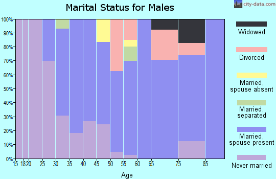 Zip code 88044 marital status for males