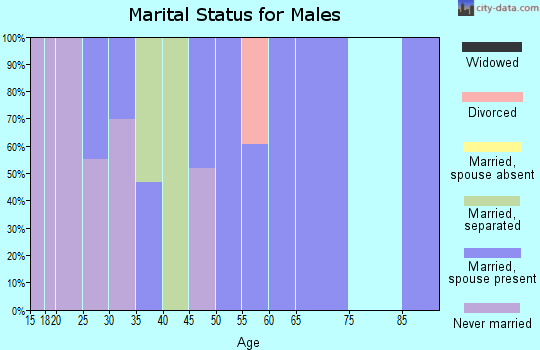 Zip code 88047 marital status for males