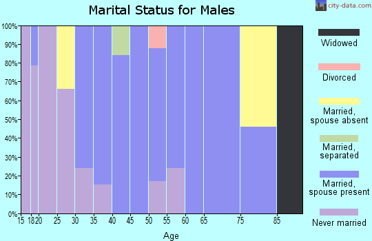 Zip code 88048 marital status for males