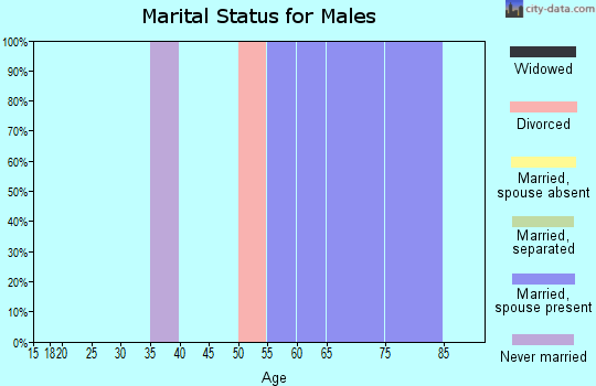 Zip code 88049 marital status for males