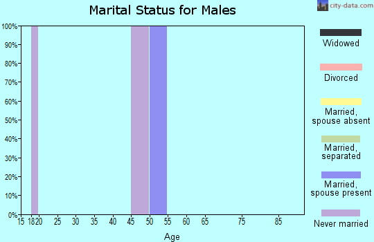 Zip code 88051 marital status for males