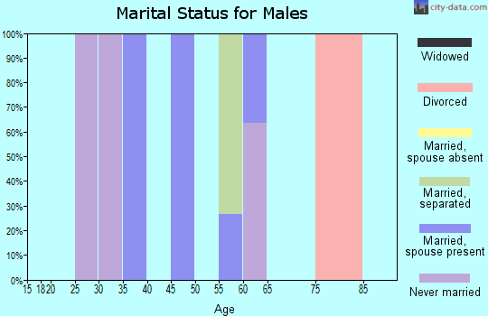 Zip code 88056 marital status for males