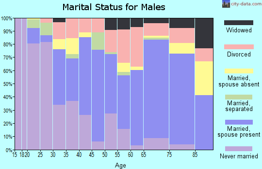 Zip code 88061 marital status for males
