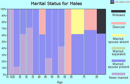 Zip code 88072 marital status for males