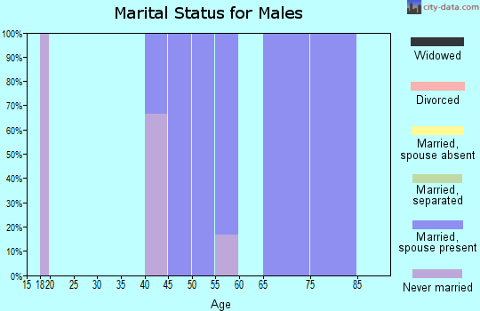 Zip code 88113 marital status for males
