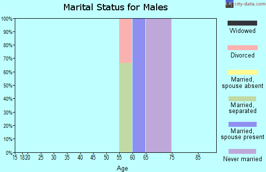 Zip code 88115 marital status for males