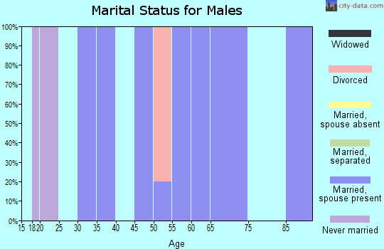 Zip code 88120 marital status for males