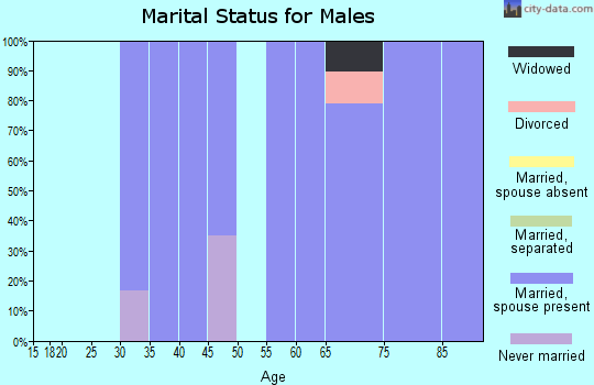Zip code 88121 marital status for males